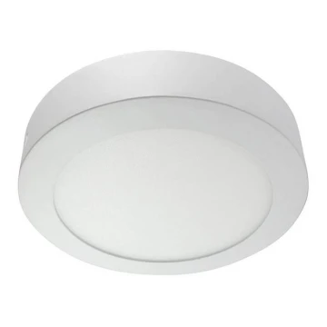 LED griestu gaismeklis LED/18W/230V 4200K