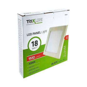 LED griestu gaismeklis LED/18W/230V 4200K