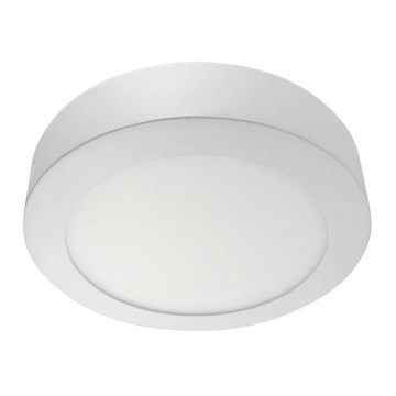 LED griestu gaismeklis LED/24W/230V 4200K