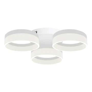 LED griestu gaismeklis RING 3xLED/12W/230V Balts