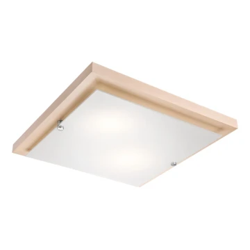 LED Griestu lampa 1xLED/24W/230V dižskābardis - FSC sertificēts