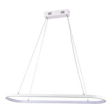 LED Lustra ar auklu LED/24W/230V 4000K balta