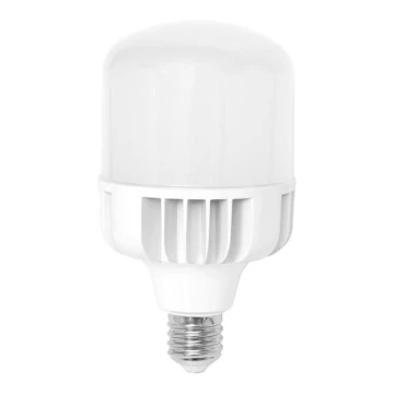 LED spuldze E40/50W/230V 5000K - Ecolite