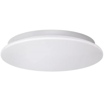 LED Vannas istabas griestu lampa ADAR LED/12W/230V IP44 4000K