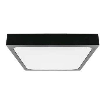 LED Vannas istabas griestu lampa ar sensoru LED/18W/230V 4000K IP44 melna