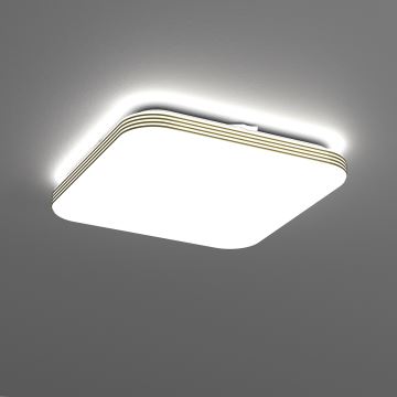 LED Vannas istabas griestu lampa DABAR LED/17W/230V 4000K 33x33 cm IP44
