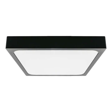 LED Vannas istabas griestu lampa LED/30W/230V 4000K IP44 melna