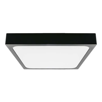 LED Vannas istabas griestu lampa LED/30W/230V 6500K IP44 melna