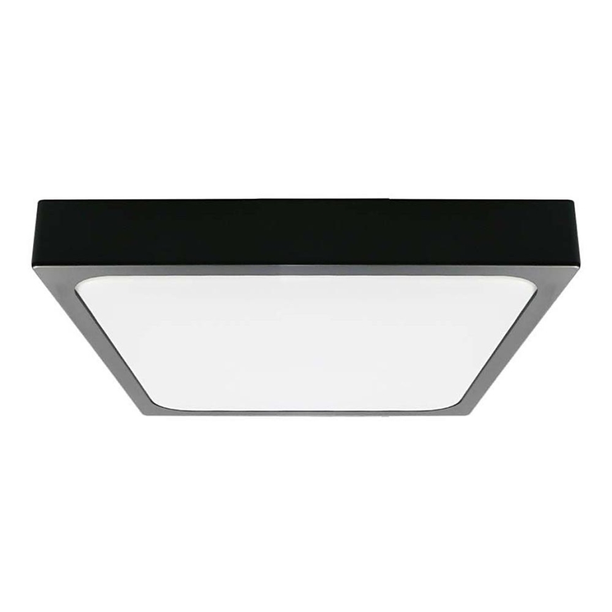 LED Vannas istabas griestu lampa LED/30W/230V 6500K IP44 melna