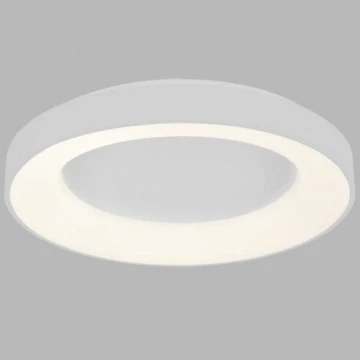 LED2 - LED griestu gaismeklis BELLA LED/40W/230V 3000/4000K Balts