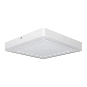 Ledvance - LED Griestu gaismeklis SQUARE LED/18W/230V