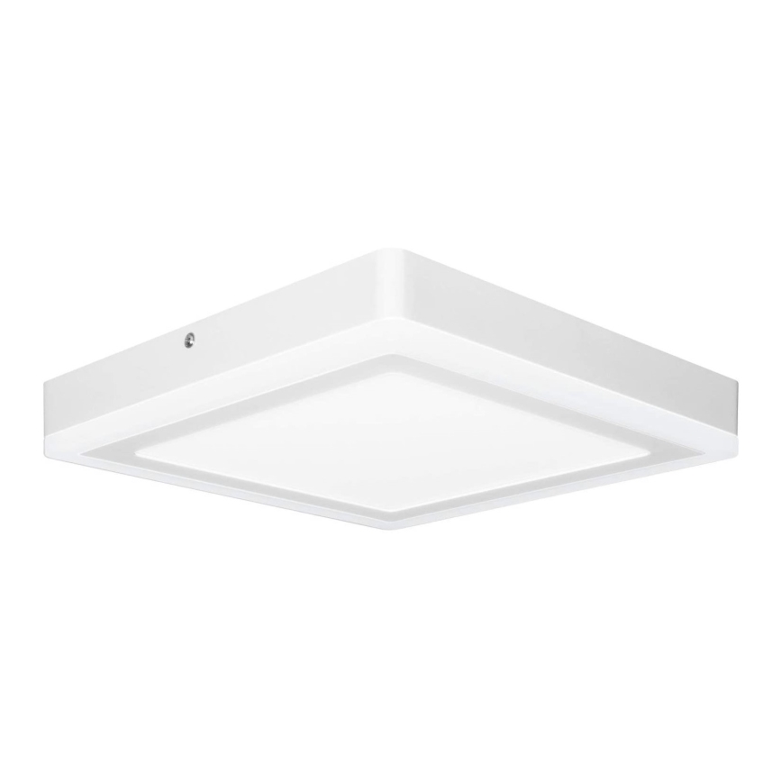 Ledvance - LED Griestu gaismeklis SQUARE LED/18W/230V