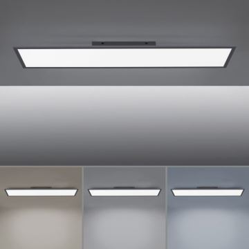 Paul Neuhaus 16533-16-O - LED Aptumšojams virsapmetuma panelis FLAT LED/24W/230V 2700-5000K black + tālvadības pults