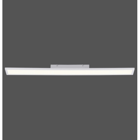 Paul Neuhaus 16537-16-O - LED Aptumšojams virsapmetuma panelis FLAT LED/21W/230V + tālvadības pults