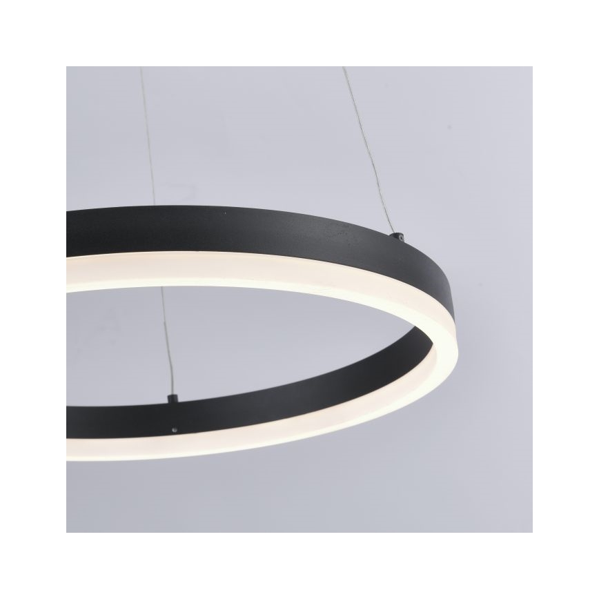 Paul Neuhaus 2381-13 - LED Aptumšojama lustra ar auklu TITUS LED/28W/230V