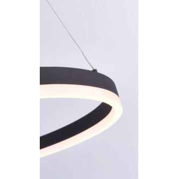 Paul Neuhaus 2382-13 - LED Aptumšojama lustra ar auklu TITUS LED/38,5W/230V