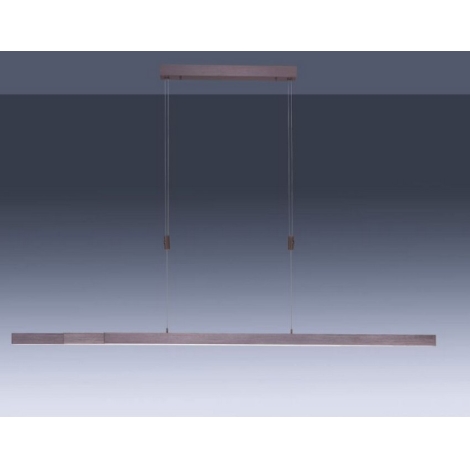 Paul Neuhaus 2568-24 - LED Aptumšojama lustra ar auklu ADRIANA LED/14W/230V 2700-5000K