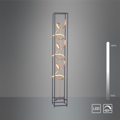 Paul Neuhaus 415-18 - LED Aptumšojama grīdas lampa SELINA 3xLED/10.W/230V