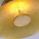 Paul Neuhaus 8132-12 - LED Aptumšojams griestu gaismeklis PLATE LED/25W/230V
