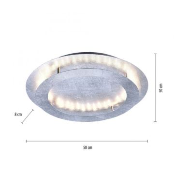 Paul Neuhaus 9621-21 - LED Griestu gaismeklis NEVIS LED/24W/230V