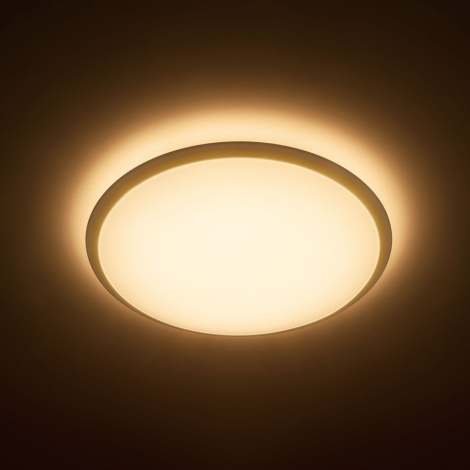 Philips - LED Griestu gaismeklis 1xLED/17W/230V