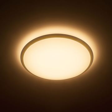Philips - LED Griestu gaismeklis 1xLED/36W/230V