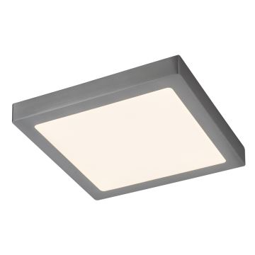 Rabalux - LED griestu gaismeklis LED/24W/230V