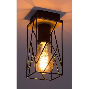 Rabalux - Griestu lampa 1xE27/40W/230V