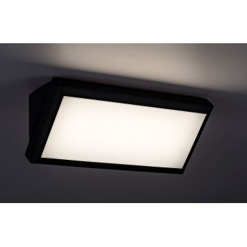 Rabalux - LED Āra sienas lampa LED/12W/230V IP54