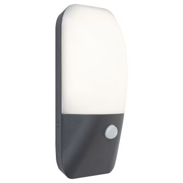 Rabalux - LED Āra sienas lampa ar sensoru LED/11W/230V IP54 4000K