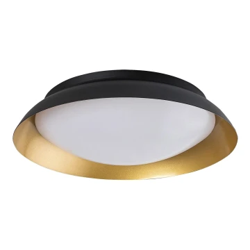 Rabalux - LED Griestu lampa LED/20W/230V 3000K d. 30 cm