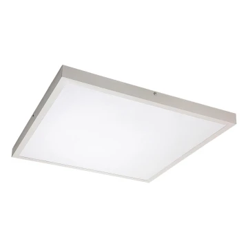 Rabalux - LED Virsapmetuma panelis LED/40W/230V 4000K 60x60 cm