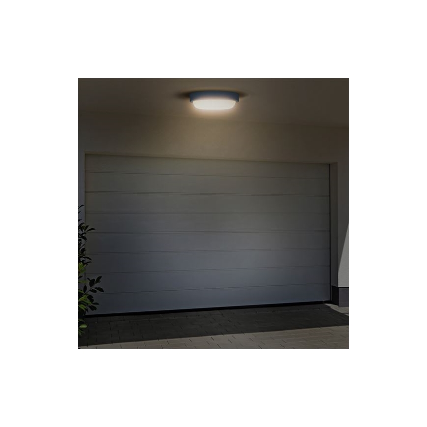 LED Āra sienas lampa LED/13W/230V 4000K IP54 pelēka apaļa