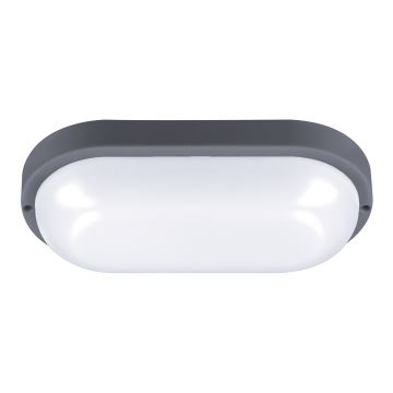 LED Āra sienas lampa LED/20W/230V 4000K IP54 pelēka ovāls