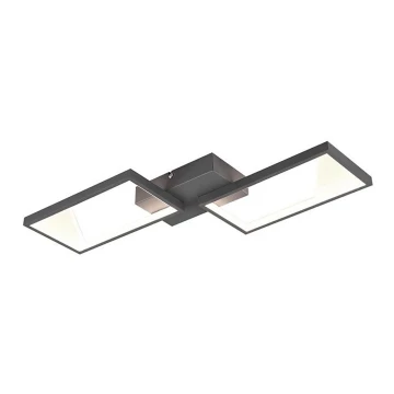 Trio - LED Aptumšojama virsapmetuma lustra CAFU 2xLED/7W/230V