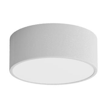 Vannas istabas griestu lampa CLEO 1xE27/24W/230V d. 20 cm pelēka IP54