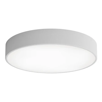 Vannas istabas griestu lampa CLEO 4xE27/24W/230V d. 50 cm pelēka IP54