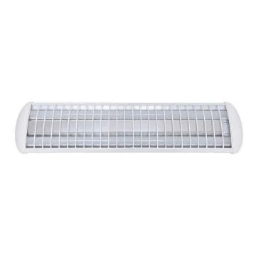 Voltolux - LED Dienasgaismas lampa MODERN 2xLED/12W/230V