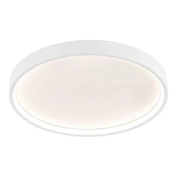 Wofi 12055 - LED Aptumšojama griestu lampa DUBAI LED/27,5W/230V balta