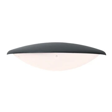 Zambelis E115 - LED Āra sienas lampa LED/6W/230V IP54 antracīta