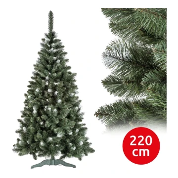 Ziemassvētku egle POLA 220 cm priede