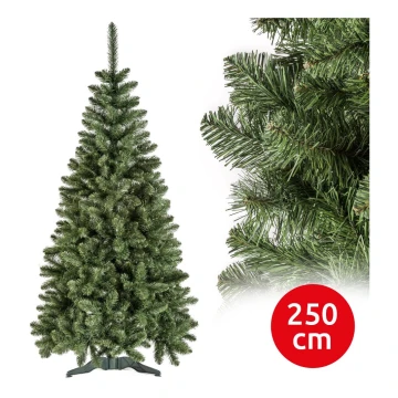 Ziemassvētku egle POLA 250 cm priede