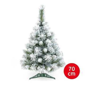 Ziemassvētku egle Xmas Trees 70 cm egle